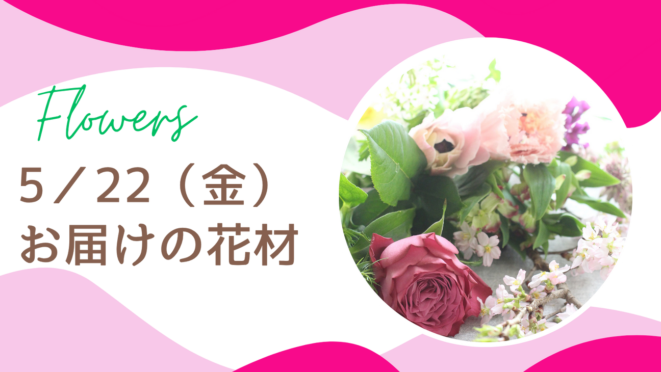５／２２(金)にお届けの花材