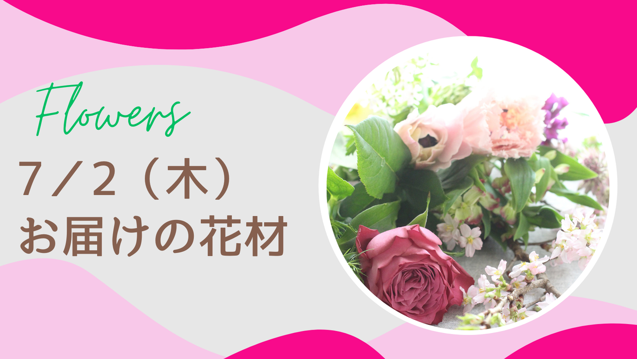 ７／２(木)にお届けの花材