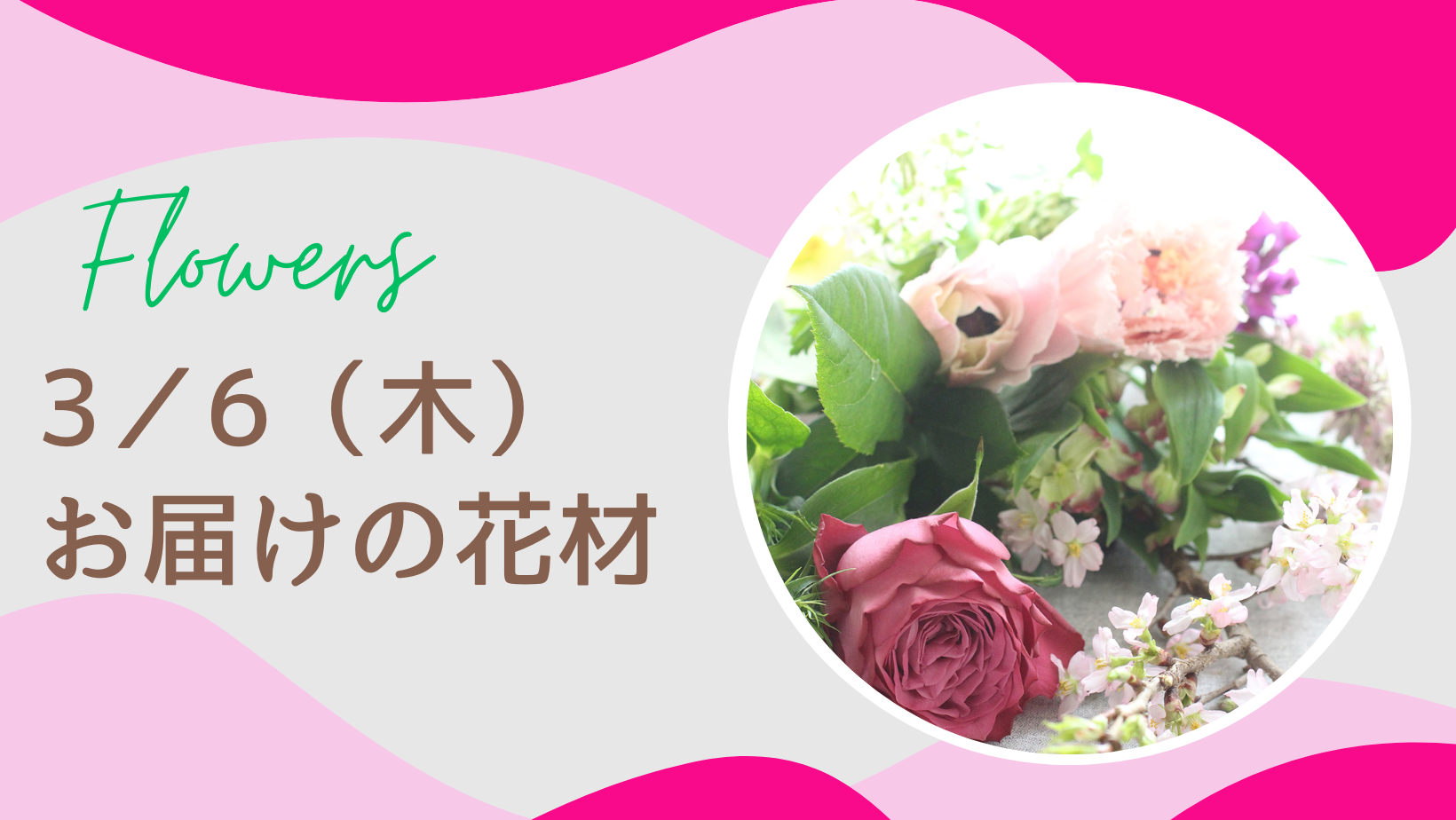 3／6(木)お届けの花材