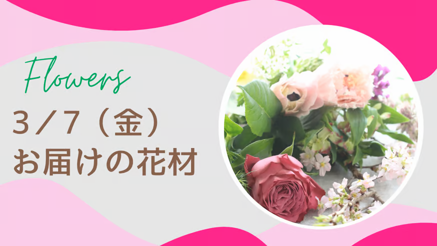3／7(金)お届けの花材