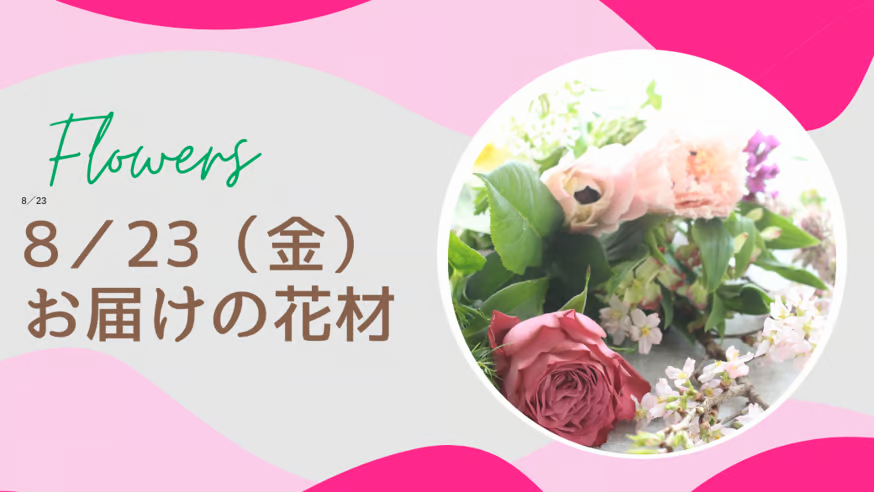 8／23(金)お届けの花材