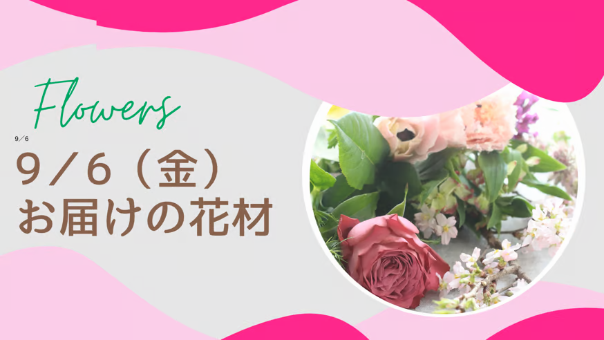 9／6(金)お届けの花材