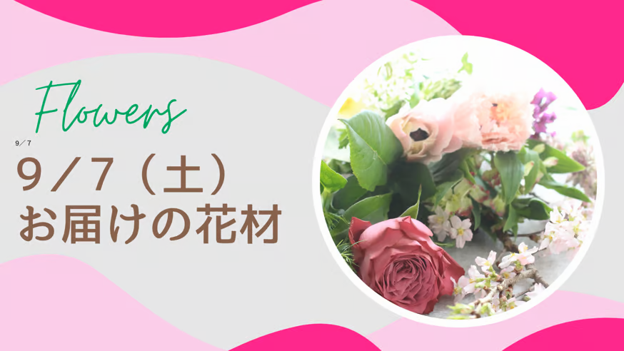 9／7(土)お届けの花材