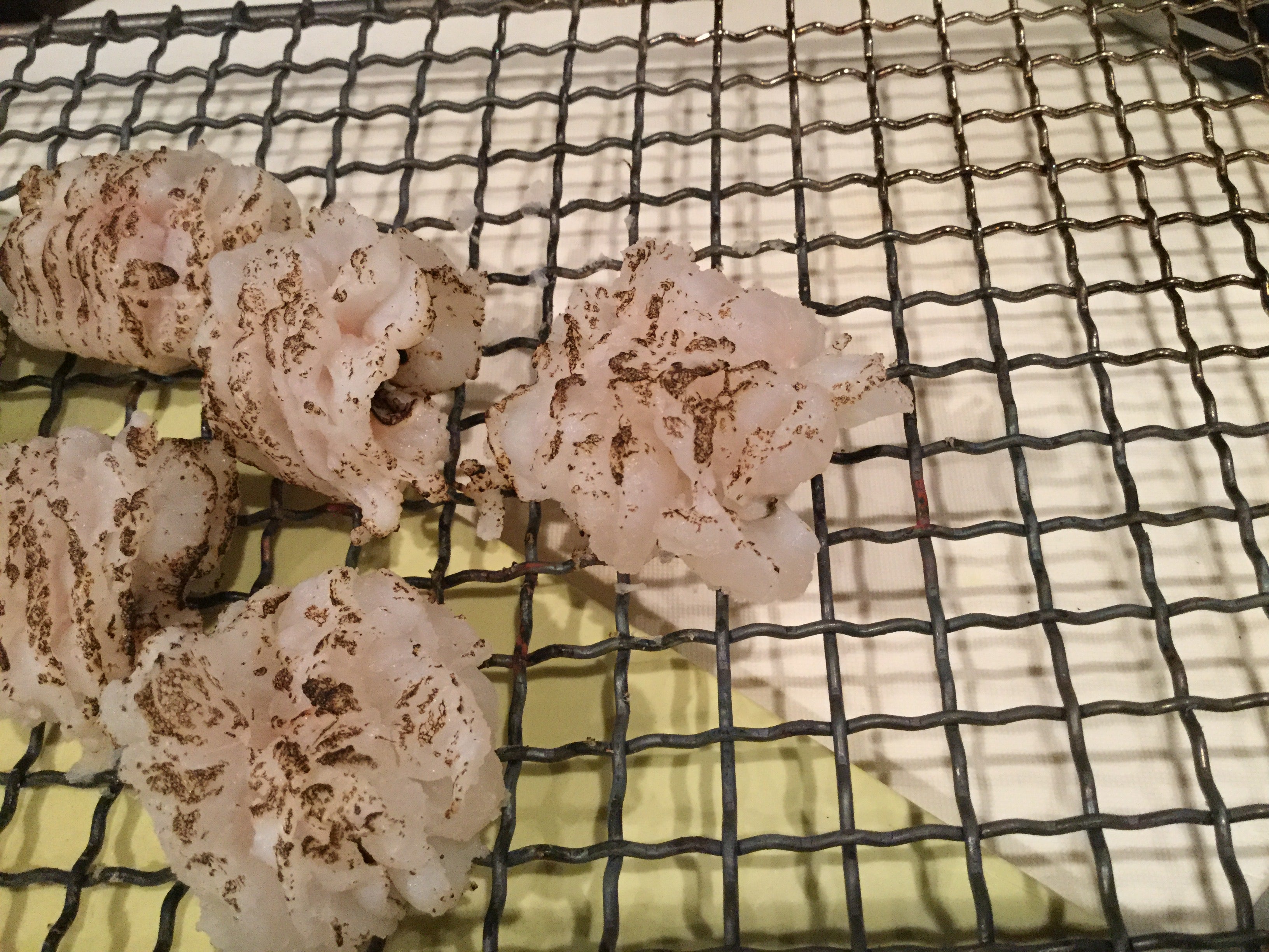 vol.1_梅雨の雨を呑んで旨くなる「鱧」