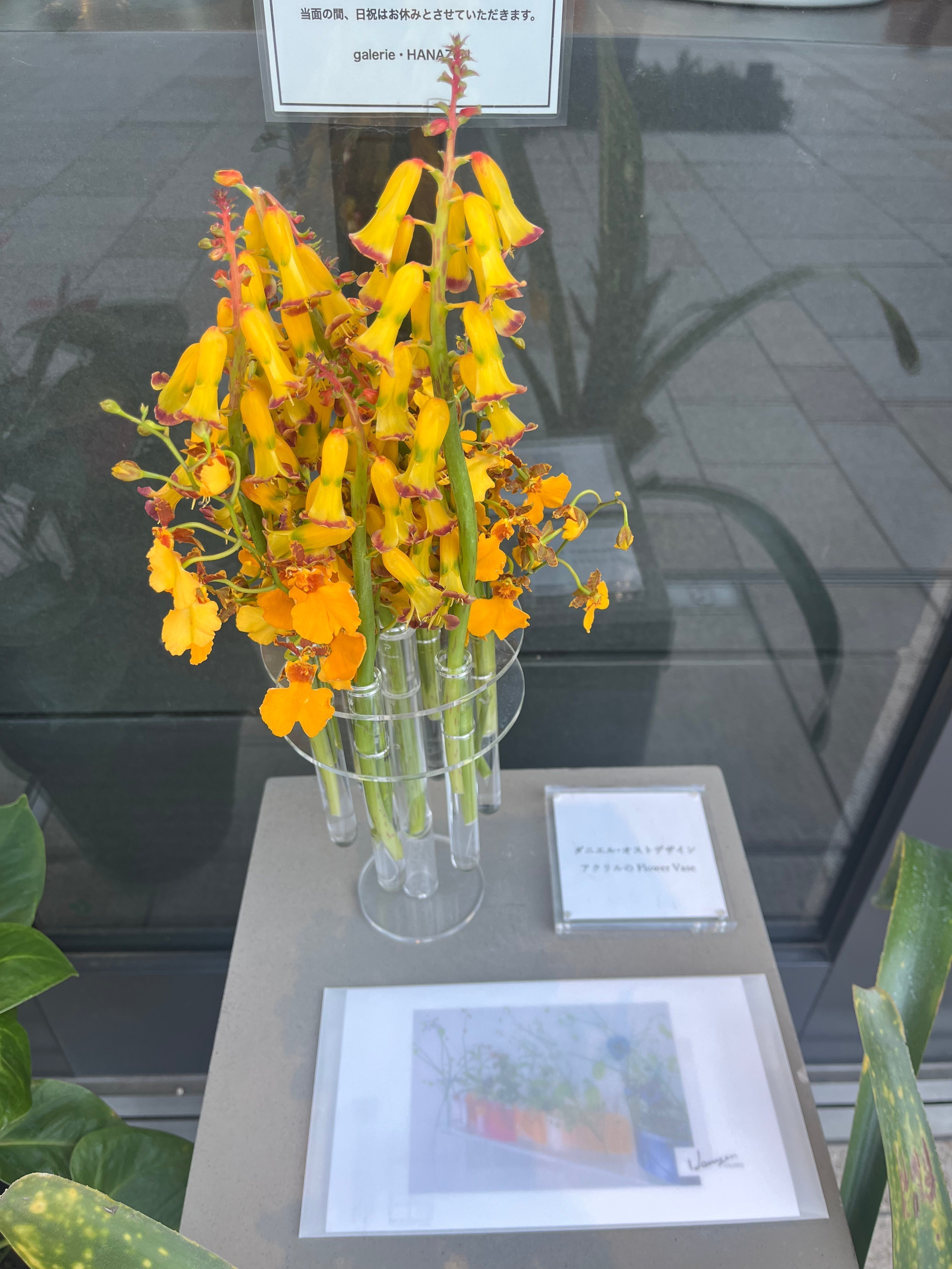 ダニエルジェリス 満開の花束 鑑定書付き ダニエル・オスト展 inギャラリエはなぜんレポート