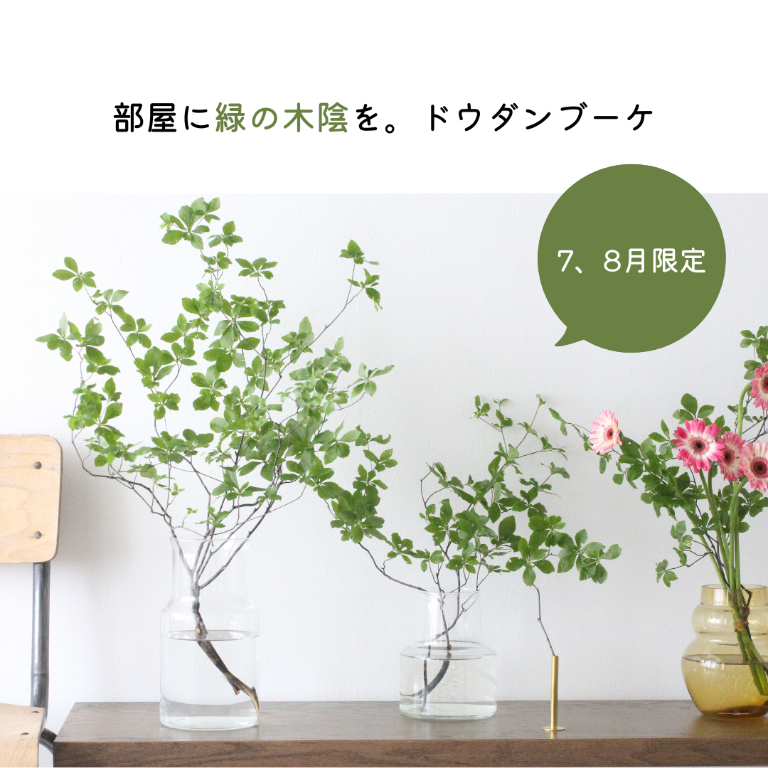 【7、8月限定】部屋に緑の木陰を。ドウダンブーケ