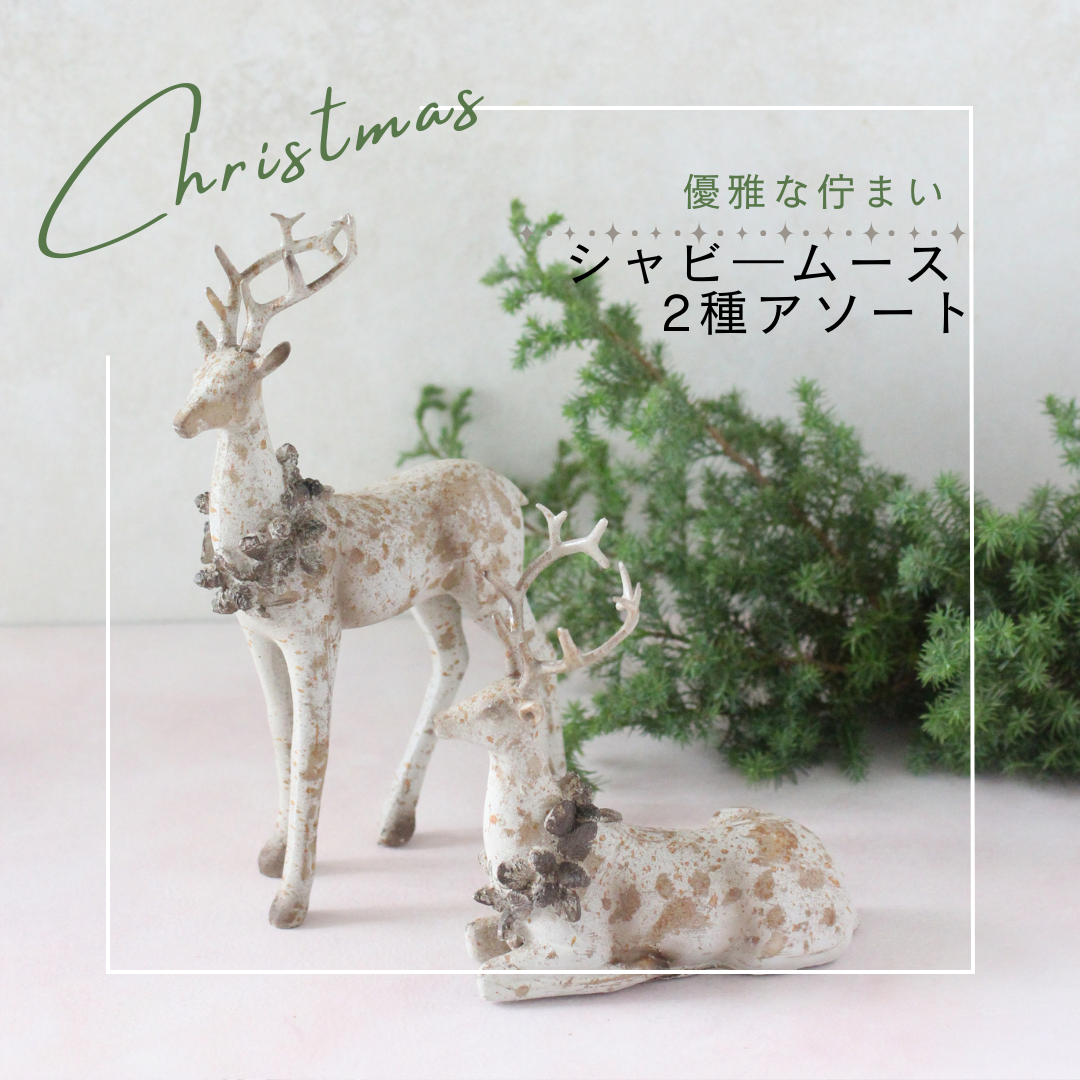 【花時間のクリスマス】シャビ―ムース 2種アソート