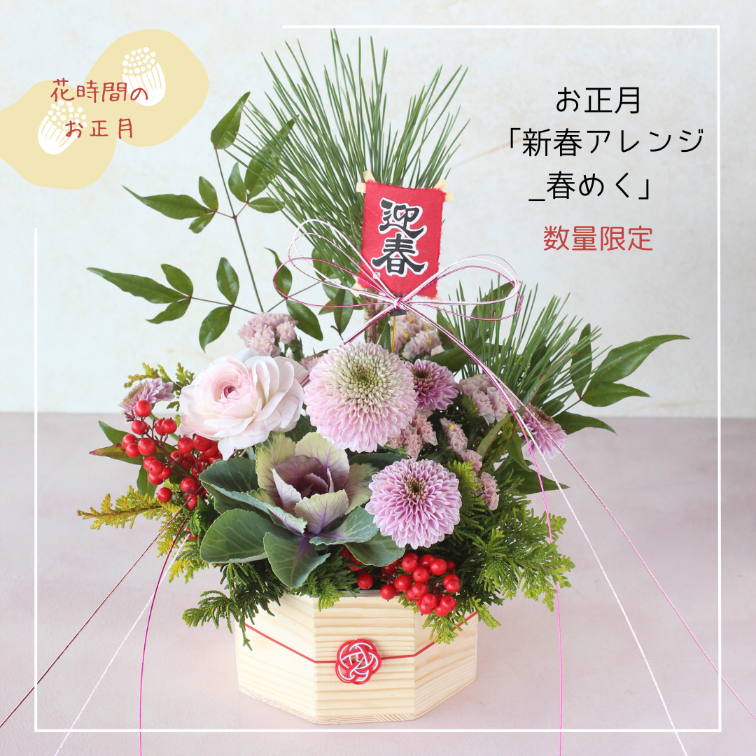 お正月「新春アレンジ2026_春めく」数量限定