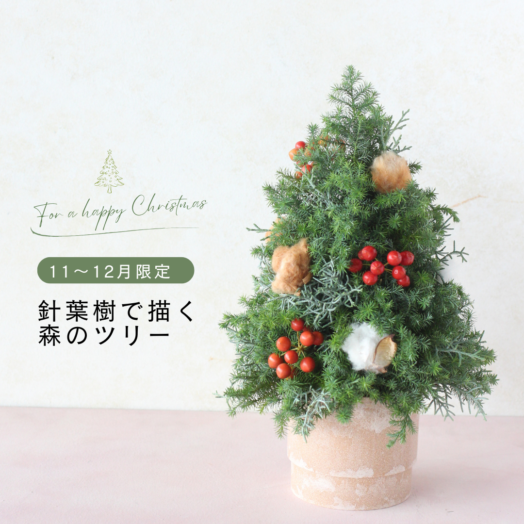 【花時間のクリスマス】11～12月限定 針葉樹で描く森のツリー
