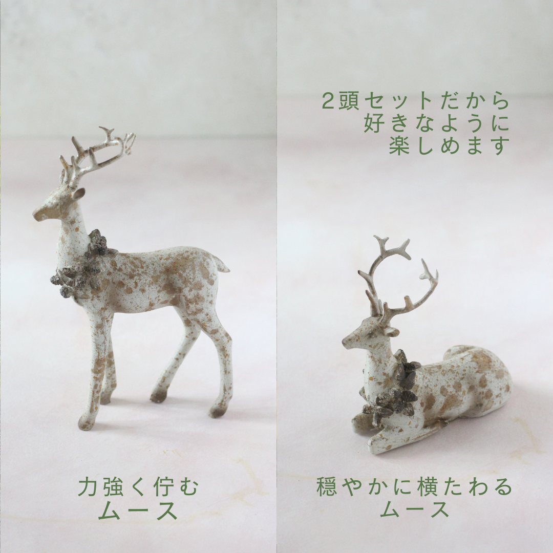 【花時間のクリスマス】シャビ―ムース 2種アソート