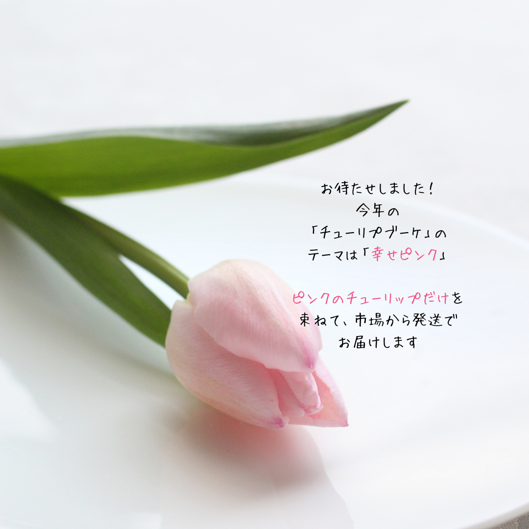 【期間限定】幸せピンクでお届け！チューリップブーケ ＊10本