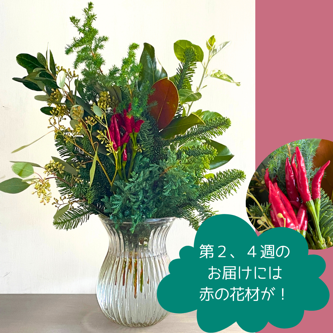【花時間のクリスマス】11～12月限定 香りのクリスマスブーケ