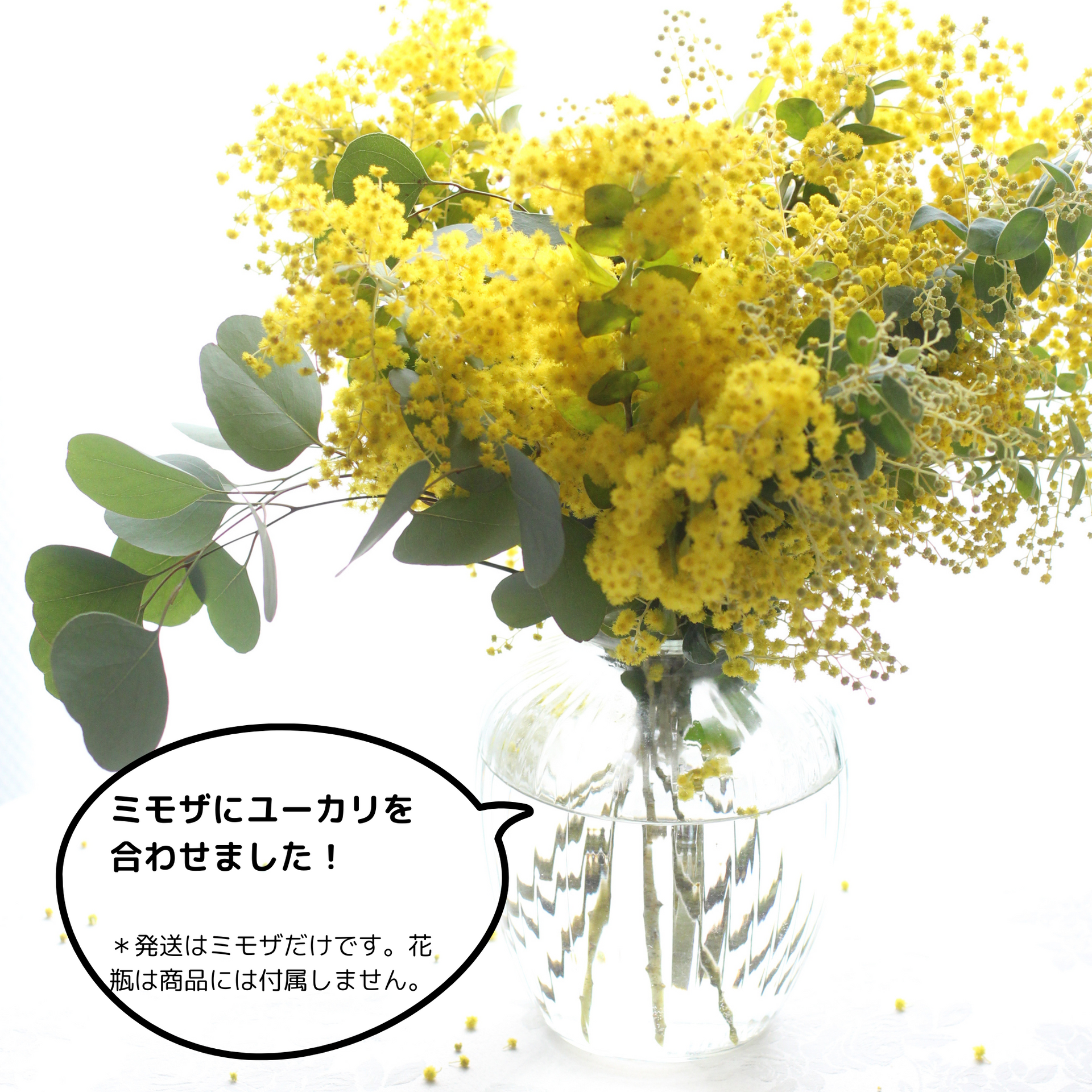 【産直・数量限定】鮮やか！長作園のミモザブーケ