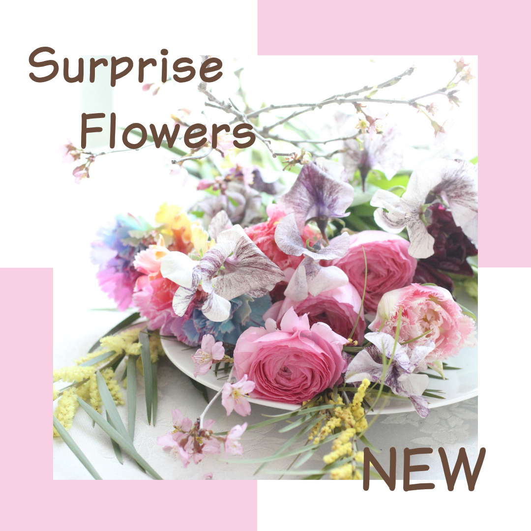 【花時間×千政】サプライズフラワー0429