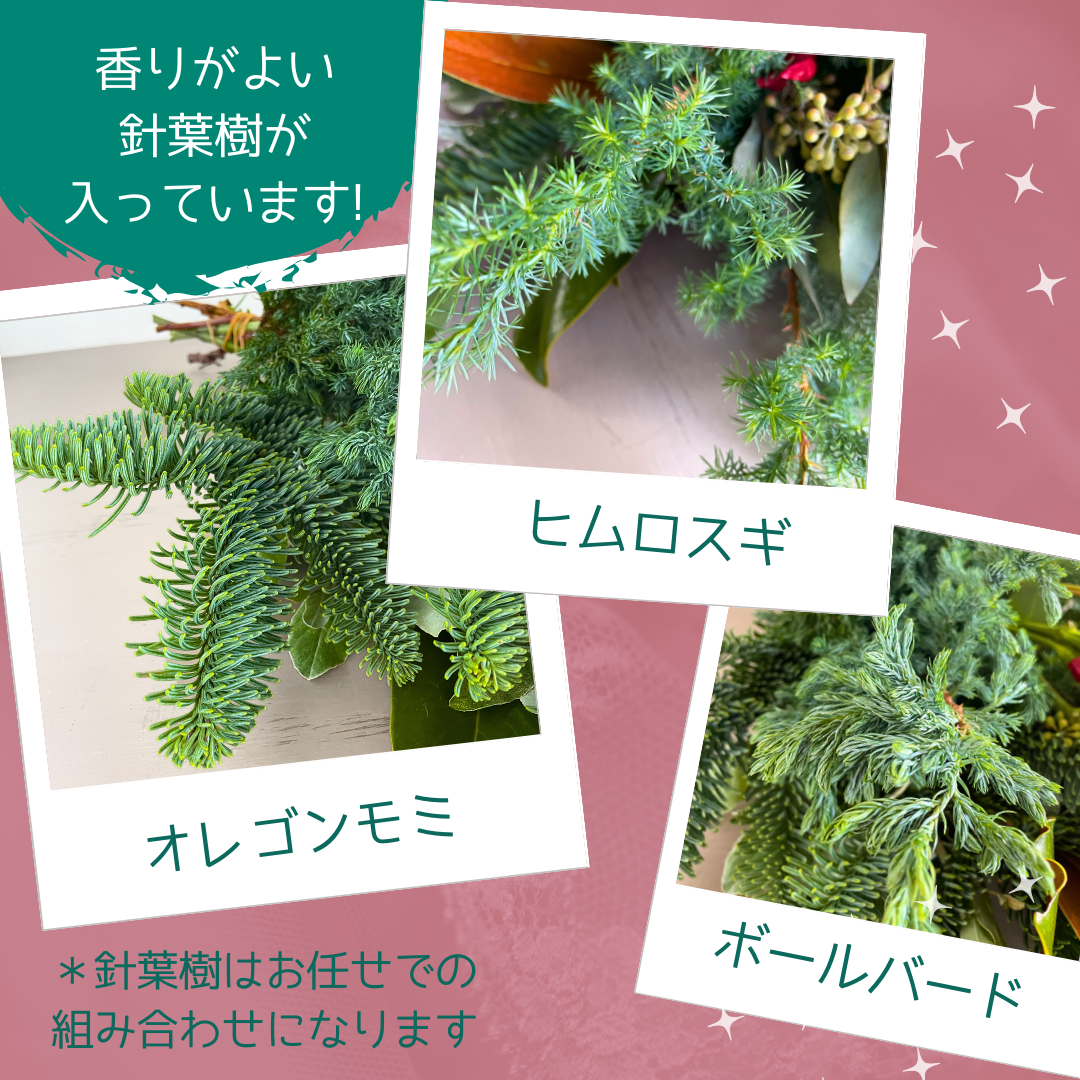 【花時間のクリスマス】11～12月限定 香りのクリスマスブーケ