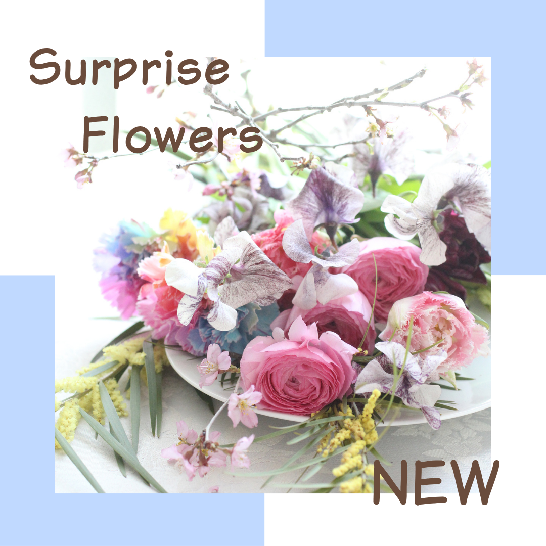 【花時間×千政】サプライズフラワー0520