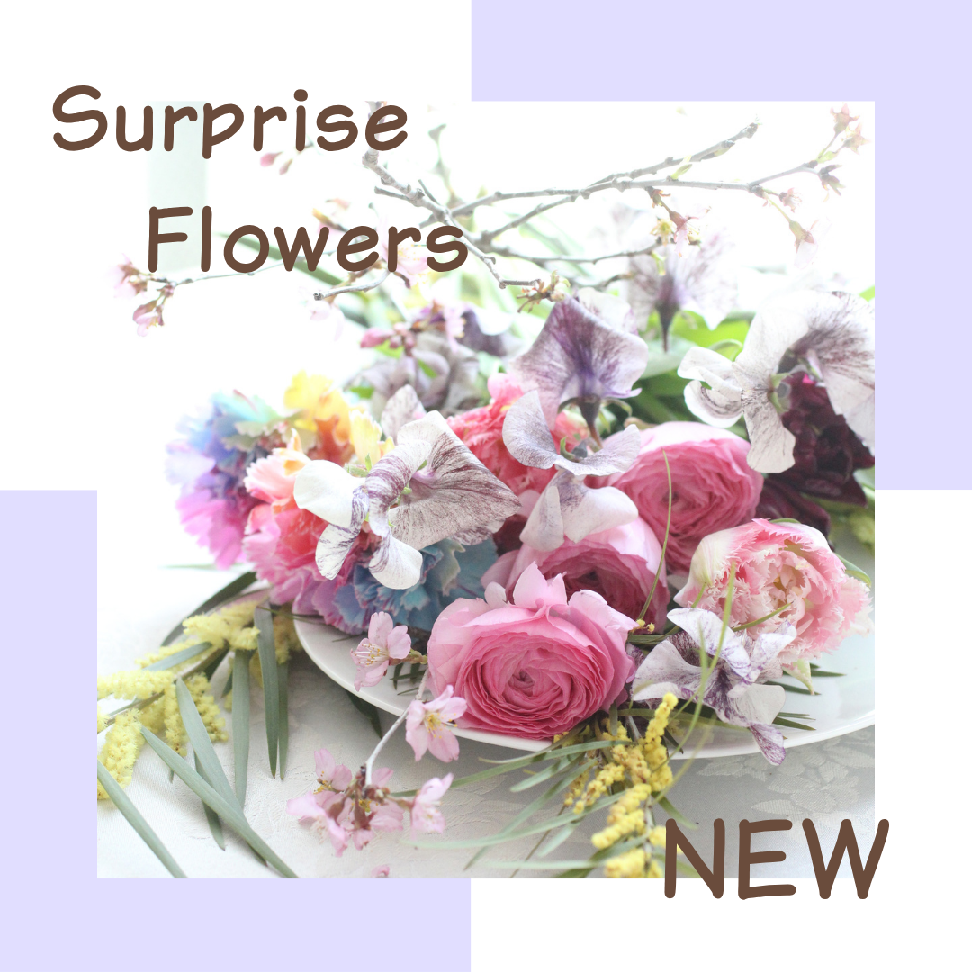 【花時間×千政】サプライズフラワー0422