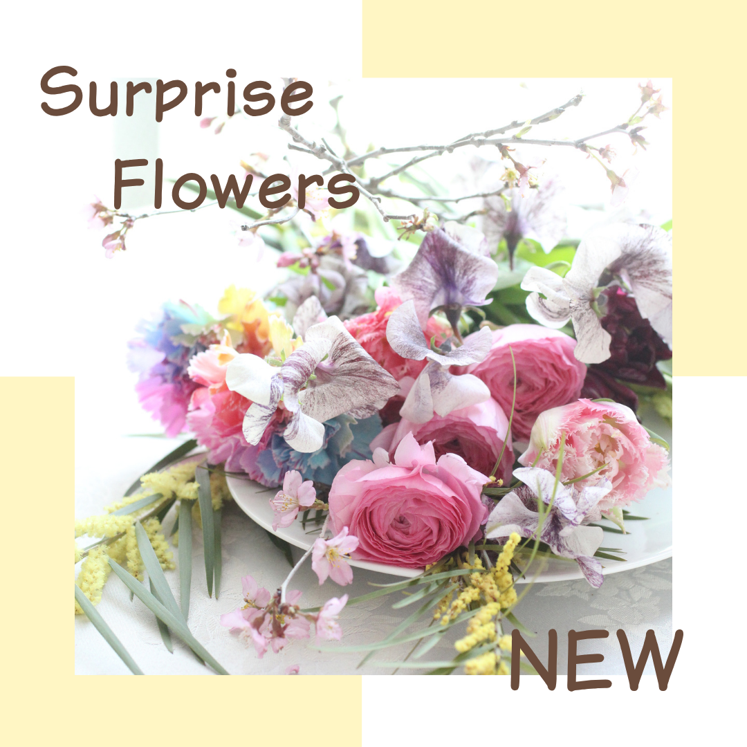 【花時間×千政】サプライズフラワー0527
