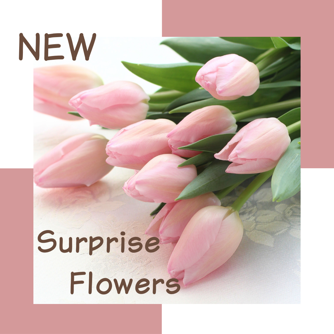 【花時間×千政】サプライズフラワー